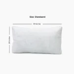 Border Pillow Size Chart Inches Pakistan
