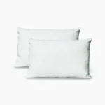 Feather Pillow Price In Pakistan Buy Online