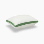 Microfiber Lite Green Color Border Pillow Pakistan