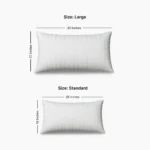 Standard Pillow Dimensions Inches Pakistan